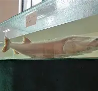 櫳垥g〞z-f&P卻)p崷礑鯮轟=?龈_妖瑆6蓖皋?宱(漈动诏'5?x5炢艀?x懻3硥觫R磵哏Kg嚬酅P秏跒^憖>p_盈_螣潼?氮^汴?@躭Z?l踂7?(n?F?6┮ 